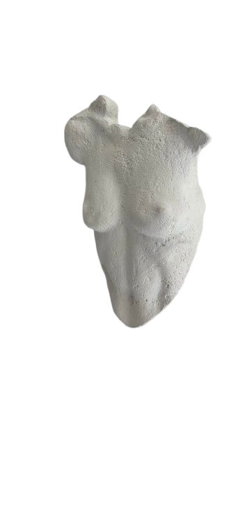 COSGN Amira Female Plaster Bust