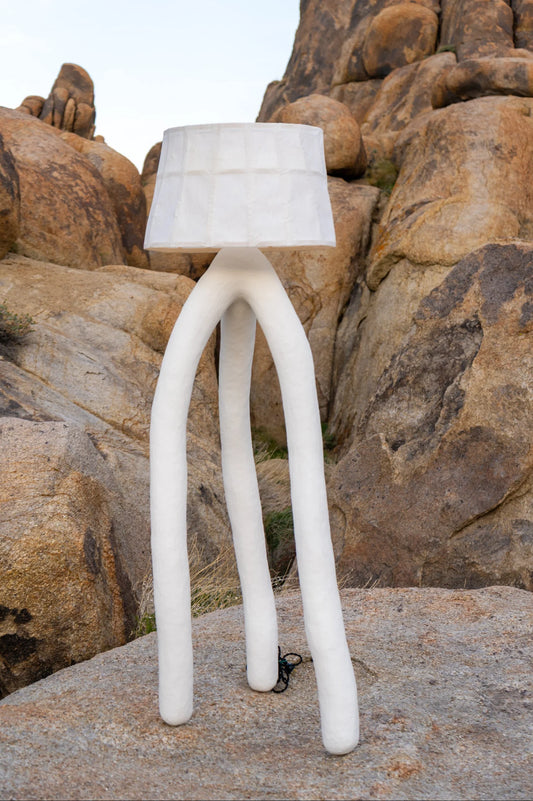 Daddy Long Legs Lamp