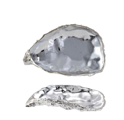 Decorative Oyster Shaped Chrome Dish