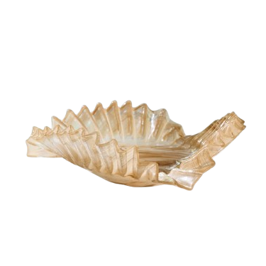 Swirl Pleated Glass Fringe Bowl